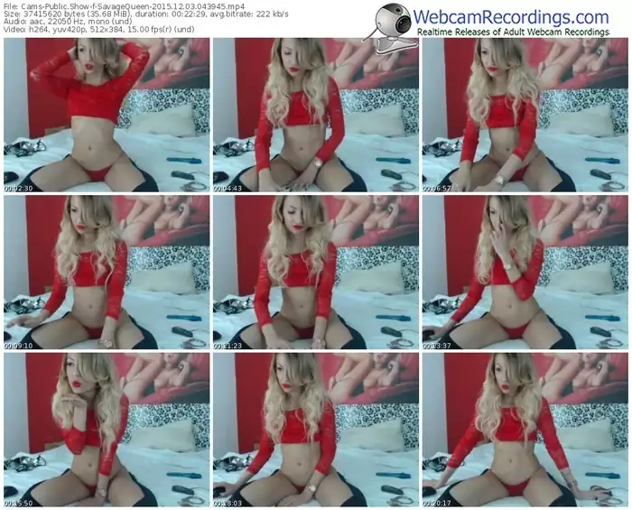 cams-savagequeen-webcam-show-12_03_2015-04_39_45