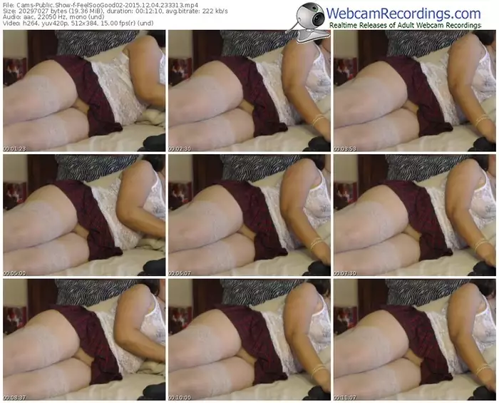cams-feelsoogood02-webcam-show-12_04_2015-23_33_13