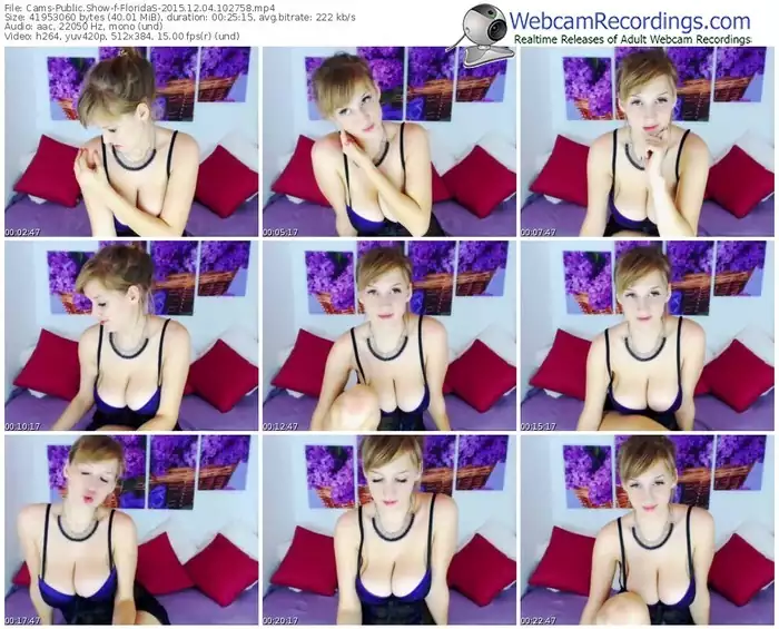 cams-floridas-webcam-show-12_04_2015-10_27_58