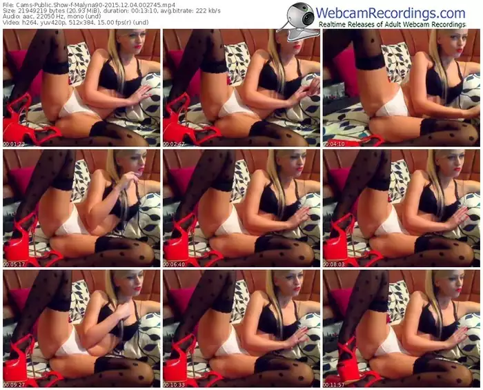 cams-malyna90-webcam-show-12_04_2015-00_27_45