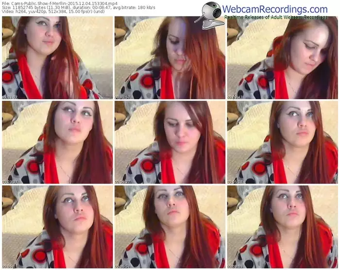 cams-merllin-webcam-show-12_04_2015-15_33_04