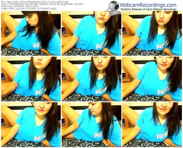 cams-rosepettles-webcam-show-12_04_2015-11_28_02