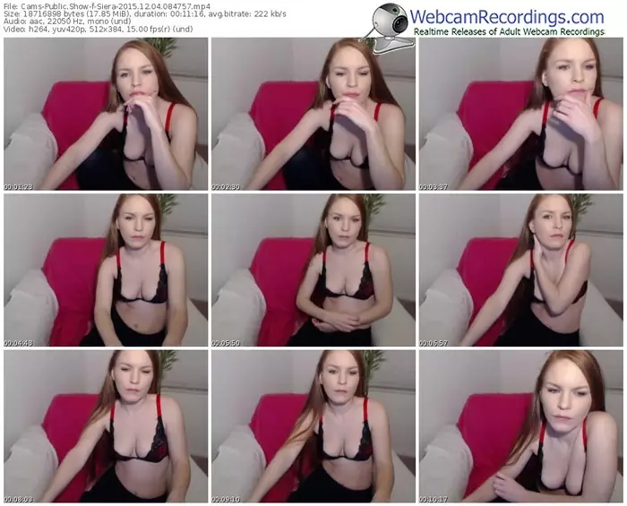 cams-siera-webcam-show-12_04_2015-08_47_57