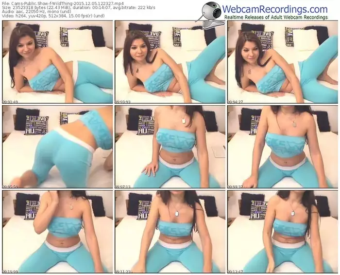 cams-wildthing-webcam-show-12_05_2015-12_23_27