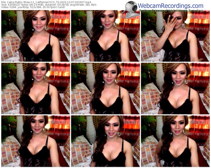 cams-1_californiacock_ts-webcam-show-12_07_2015-02_19_07