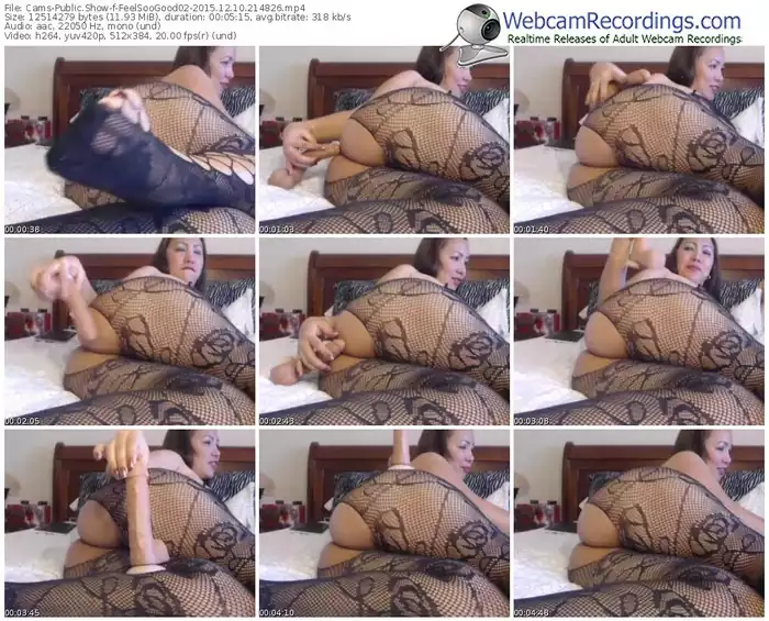 cams-feelsoogood02-webcam-show-12_10_2015-21_48_26