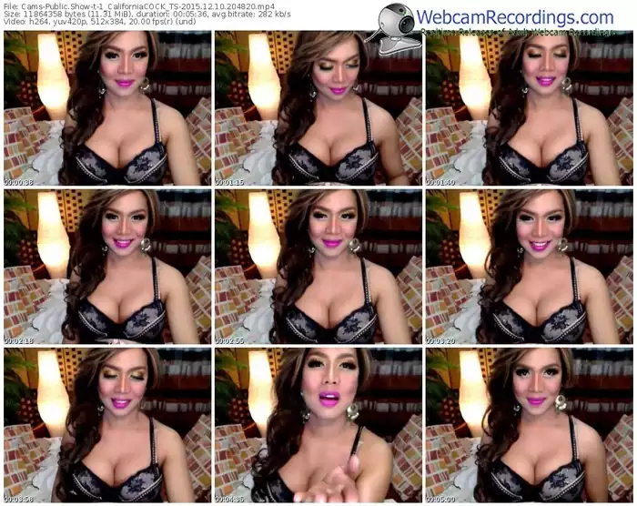 cams-1_californiacock_ts-webcam-show-12_10_2015-20_48_20