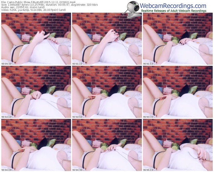 cams-bustyelf-webcam-show-12_11_2015-01_58_22