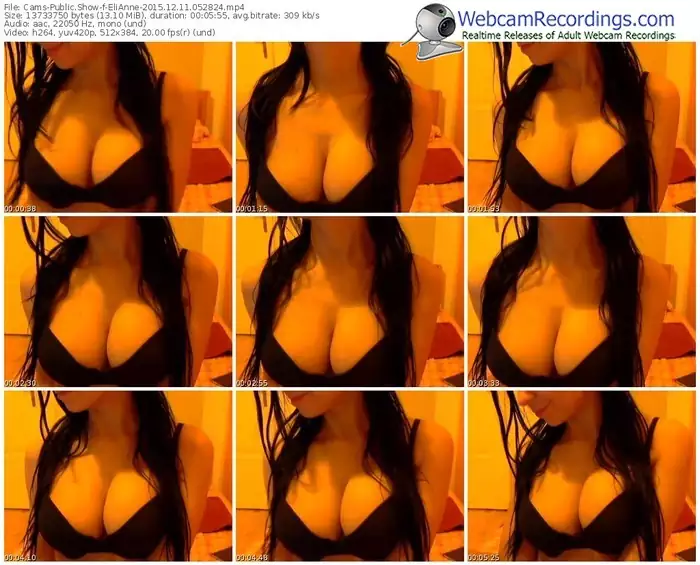 cams-elianne-webcam-show-12_11_2015-05_28_24