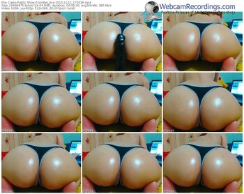 cams-golden_ass-webcam-show-12_11_2015-17_55_38