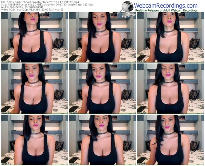 cams-pamela_black-webcam-show-12_12_2015-19_11_15