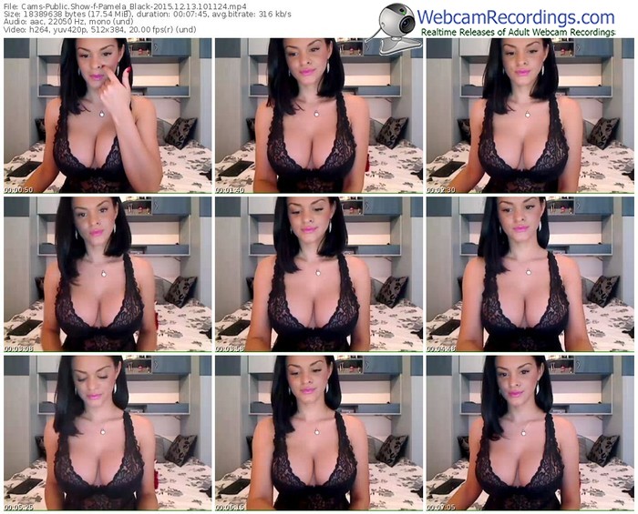 cams-pamela_black-webcam-show-12_13_2015-10_11_24
