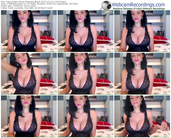 cams-pamela_black-webcam-show-12_13_2015-17_41_30