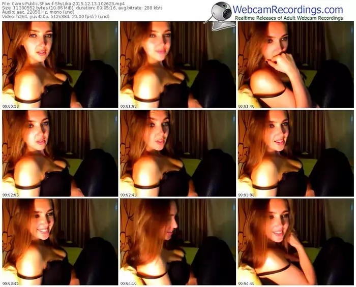 cams-shylika-webcam-show-12_13_2015-10_26_23