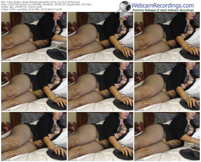 cams-feelsoogood02-webcam-show-12_14_2015-21_41_52