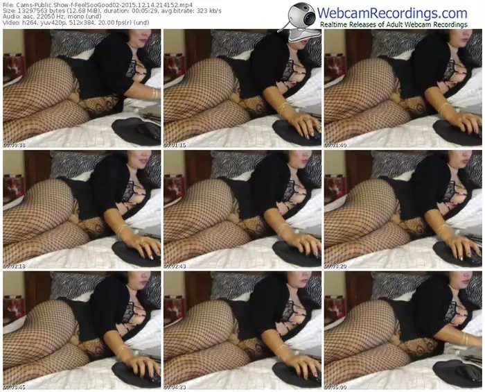 cams-feelsoogood02-webcam-show-12_14_2015-21_41_52