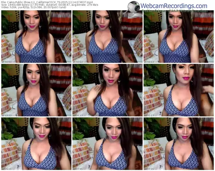cams-1_californiacock_ts-webcam-show-12_14_2015-07_46_37