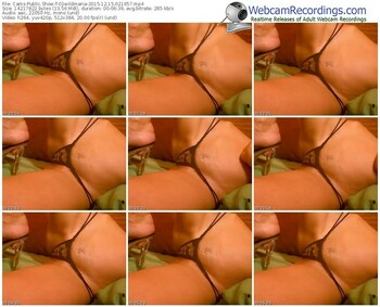 cams-01wildmaria-webcam-show-12_15_2015-02_16_57