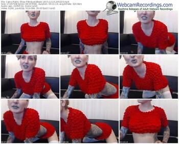 cams-birdyandbeez-webcam-show-12_15_2015-20_52_19