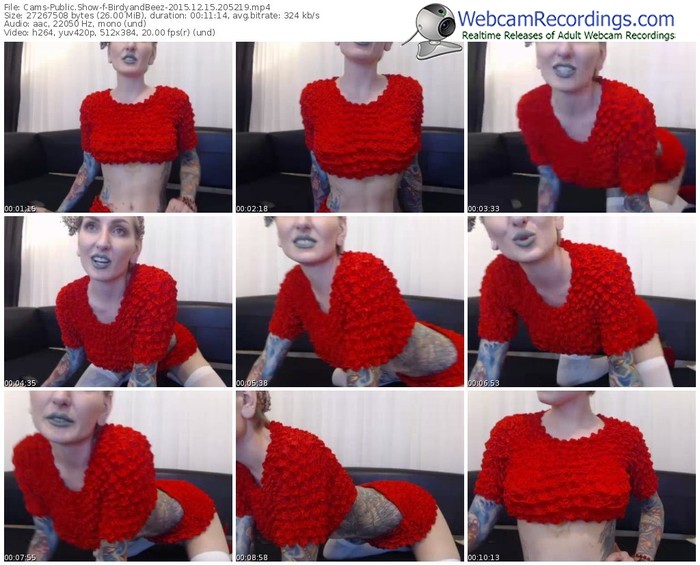 cams-birdyandbeez-webcam-show-12_15_2015-20_52_19