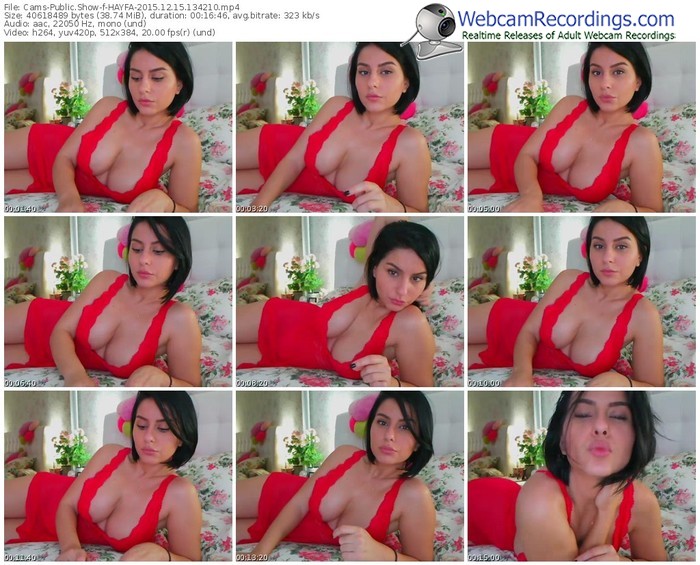 cams-hayfa-webcam-show-12_15_2015-13_42_10