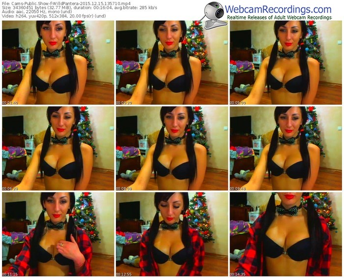 cams-willdpantera-webcam-show-12_15_2015-13_57_10