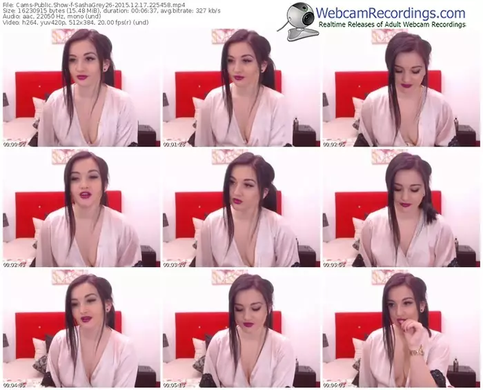 cams-sashagrey26-webcam-show-12_17_2015-22_54_58