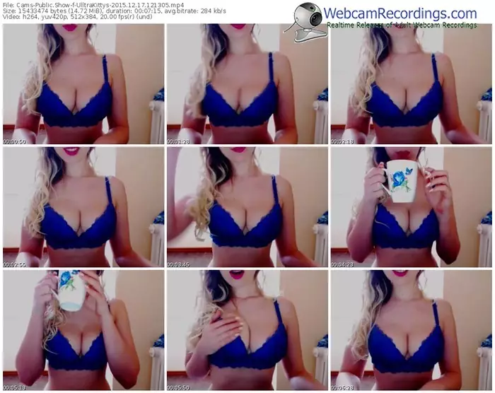 cams-ulltrakittys-webcam-show-12_17_2015-12_13_05