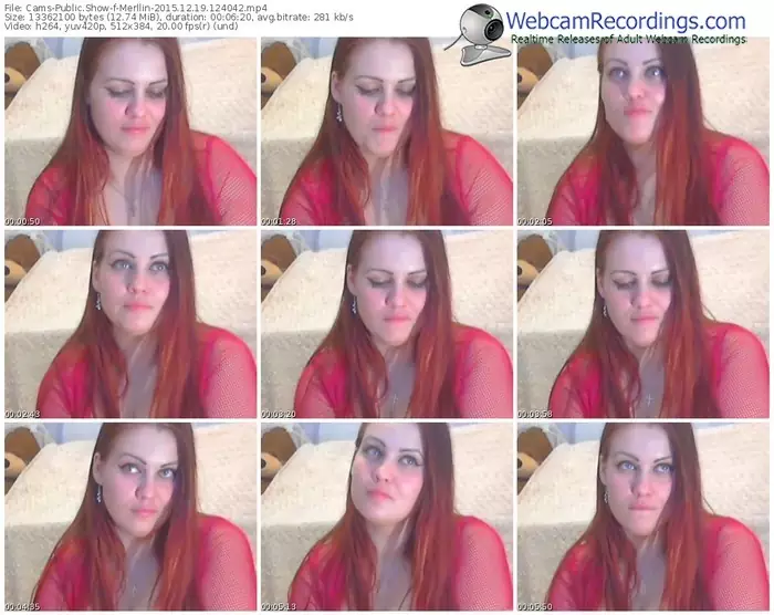 cams-merllin-webcam-show-12_19_2015-12_40_42