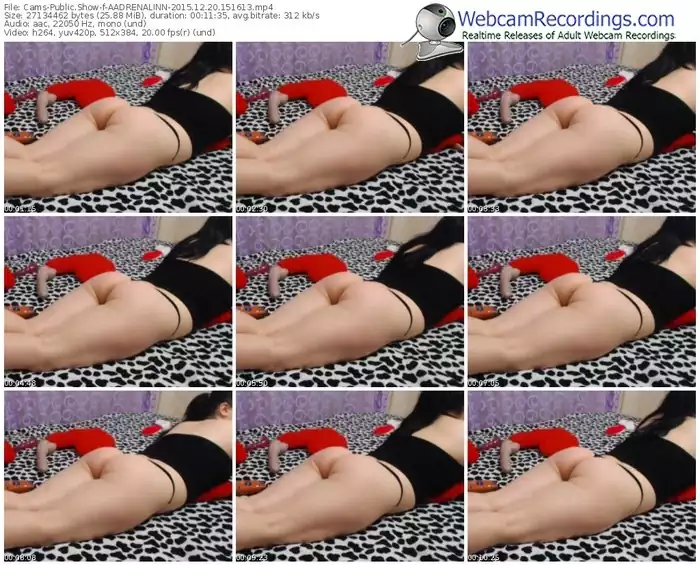 cams-aadrenalinn-webcam-show-12_20_2015-15_16_13