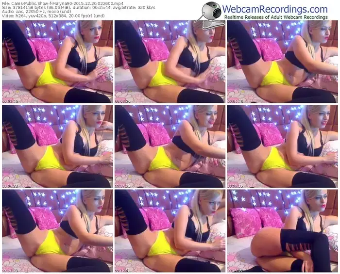 cams-malyna90-webcam-show-12_20_2015-02_26_00