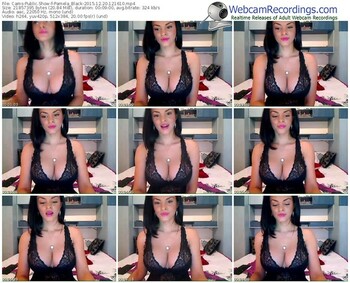 cams-pamela_black-webcam-show-12_20_2015-12_16_10