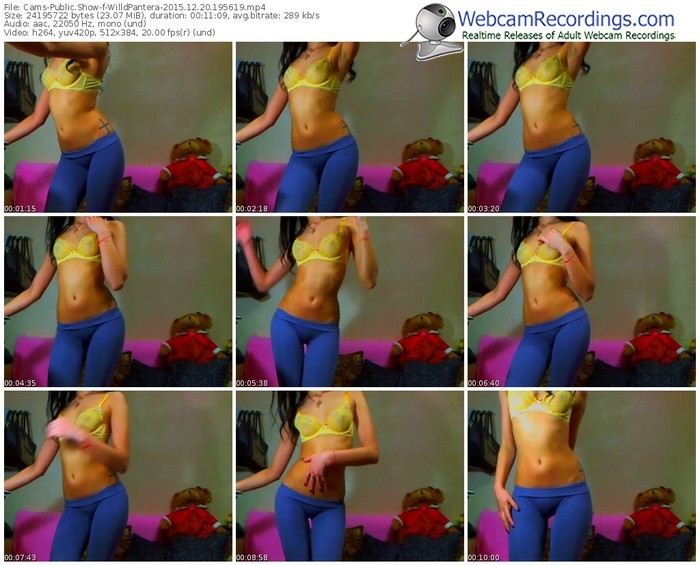 cams-willdpantera-webcam-show-12_20_2015-19_56_19