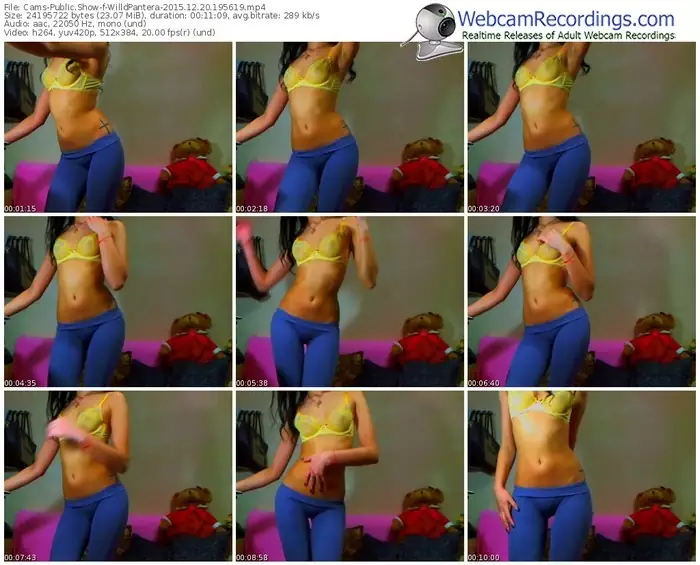 cams-willdpantera-webcam-show-12_20_2015-19_56_19