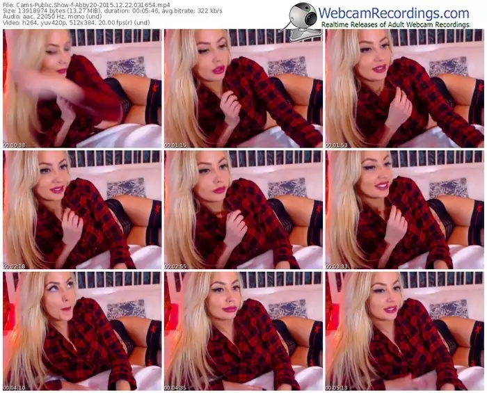 cams-abby20-webcam-show-12_22_2015-03_16_54