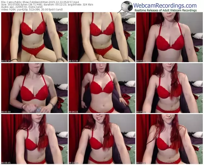 cams-amberxkitten-webcam-show-12_22_2015-05_21_57