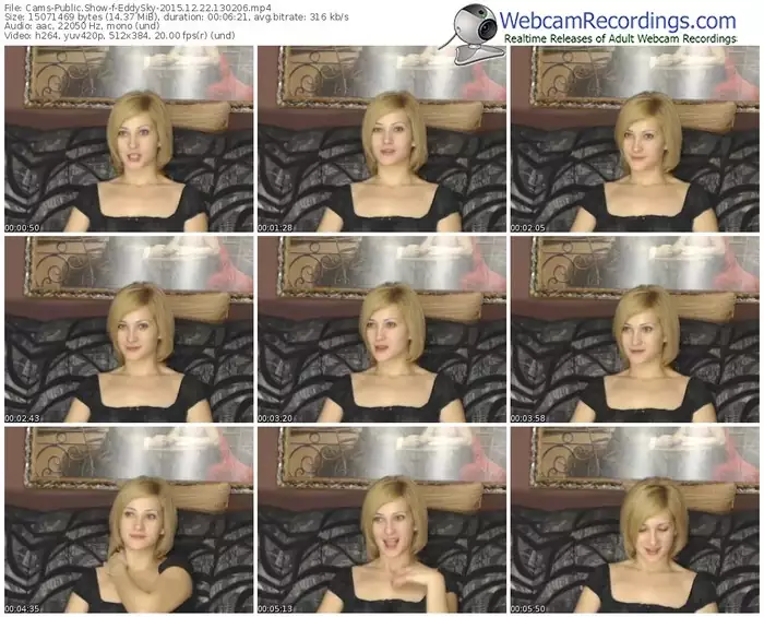 cams-eddysky-webcam-show-12_22_2015-13_02_06