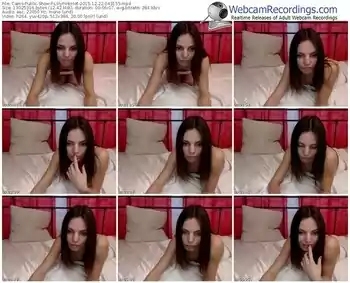 cams-lillypinkhot-webcam-show-12_22_2015-04_31_55