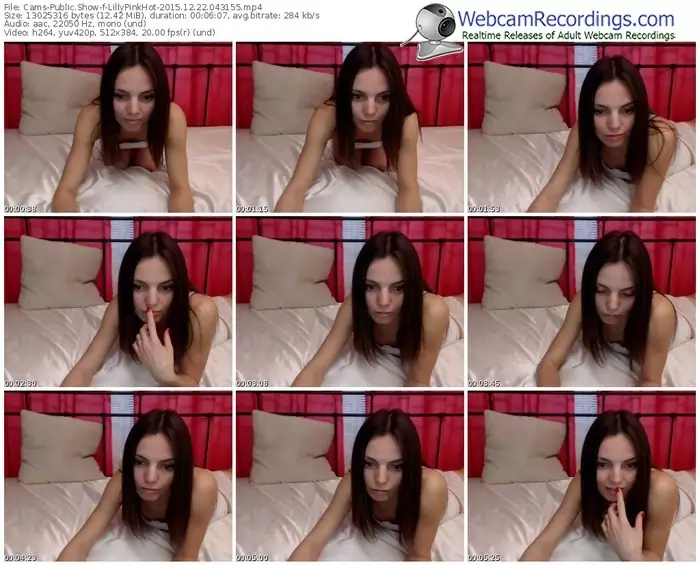 cams-lillypinkhot-webcam-show-12_22_2015-04_31_55