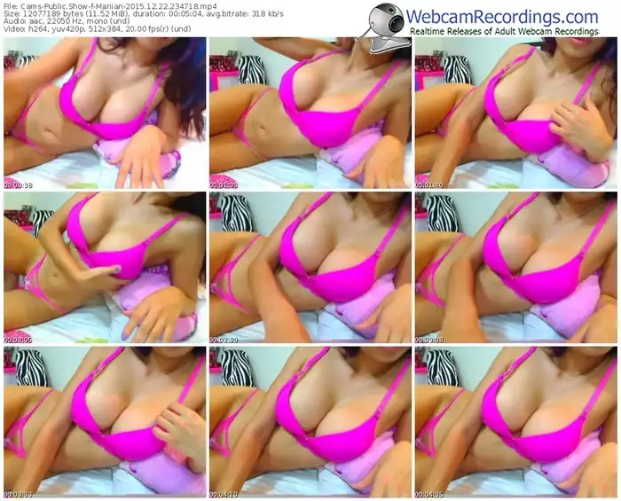 cams-mariian-webcam-show-12_22_2015-23_47_18