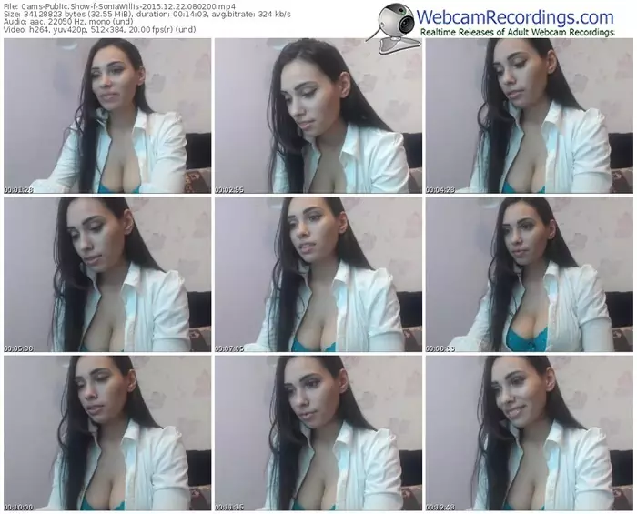 cams-soniawillis-webcam-show-12_22_2015-08_02_00