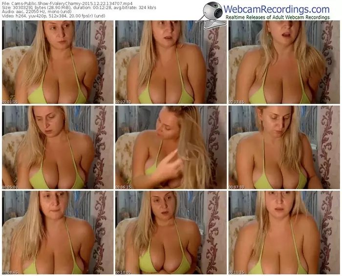 cams-valerycharmy-webcam-show-12_22_2015-13_47_07