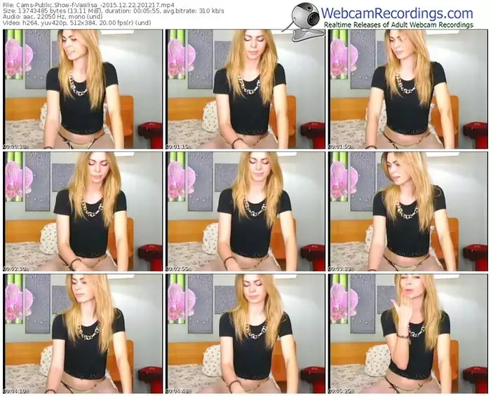 cams-vasilisa_-webcam-show-12_22_2015-20_12_17