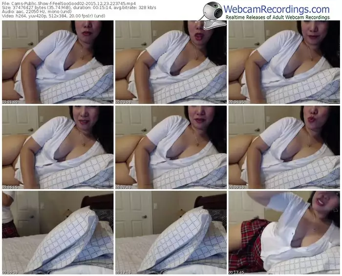 cams-feelsoogood02-webcam-show-12_23_2015-22_37_45