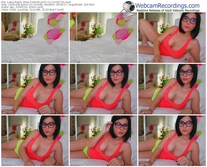 cams-hayfa-webcam-show-12_23_2015-09_17_31