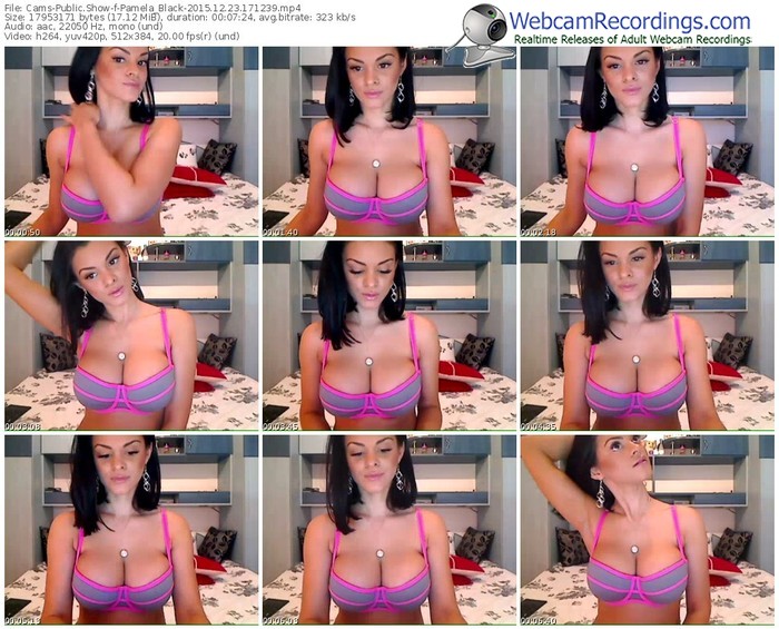 cams-pamela_black-webcam-show-12_23_2015-17_12_39