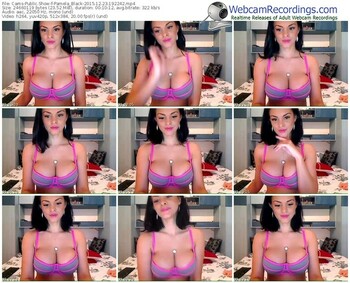 cams-pamela_black-webcam-show-12_23_2015-19_22_42