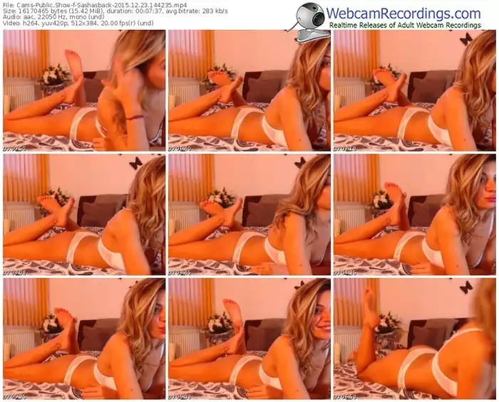 cams-sashasback-webcam-show-12_23_2015-14_42_35