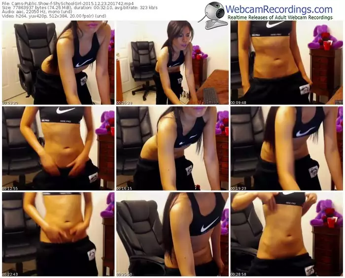 cams-shyschoolgirl-webcam-show-12_23_2015-20_17_42