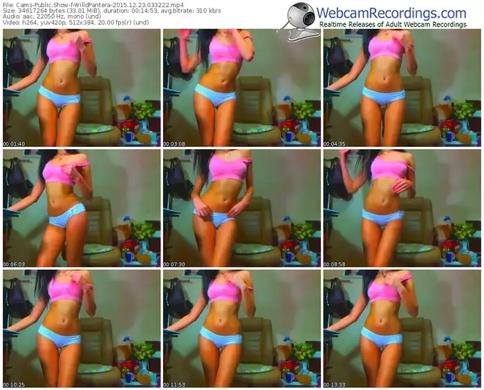 cams-willdpantera-webcam-show-12_23_2015-03_32_22